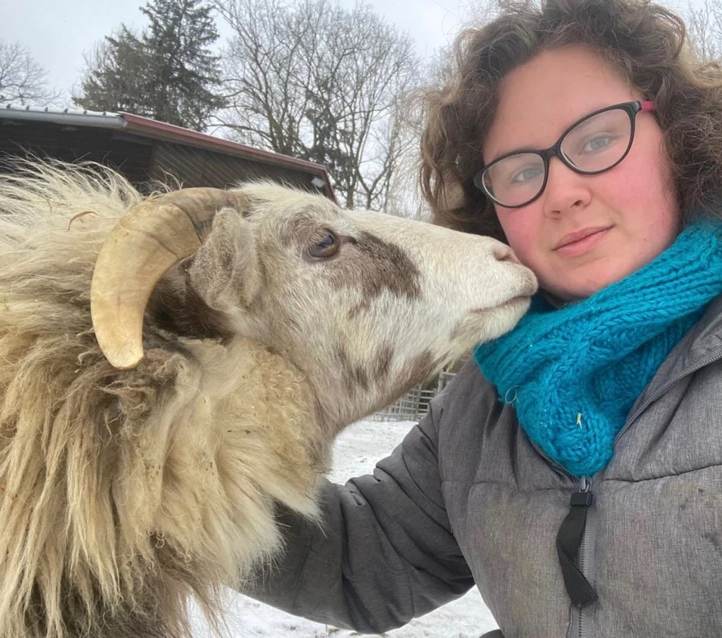 Ein Schafbock gibt einer Frau einen Kuss auf die Wange