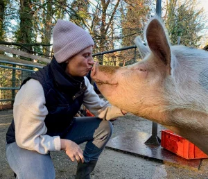 Eine Frau gibt einem Schwein einen Knutscher auf die Schnauze 