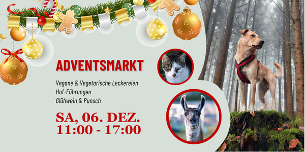 Weihnachtlich geschmücktes Plakat mit Alpaka, Katze und Hund