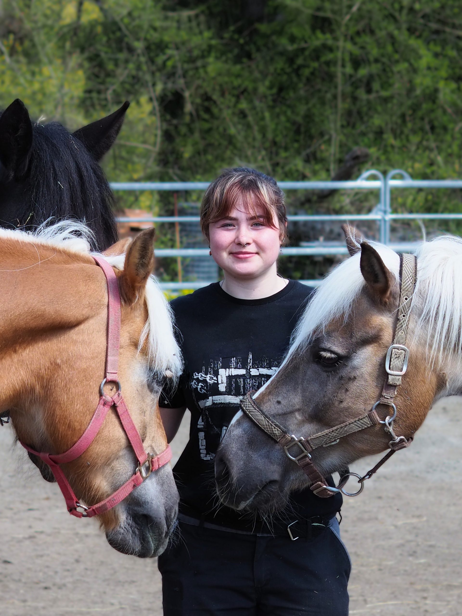 Mädchen mit Pony und drei Pferden